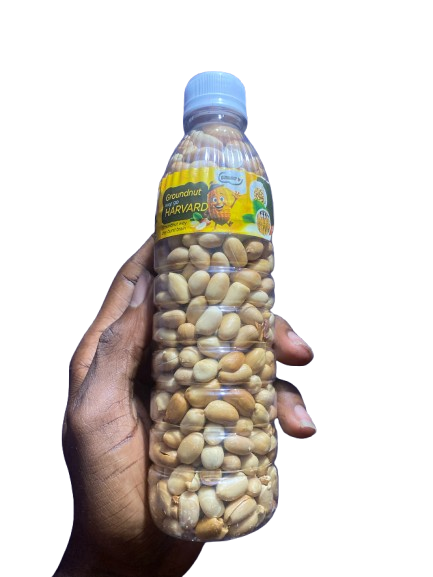 image1-removebg-preview